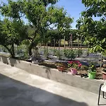 Garden House - 82 M2- Rustic Kokkinokhoma